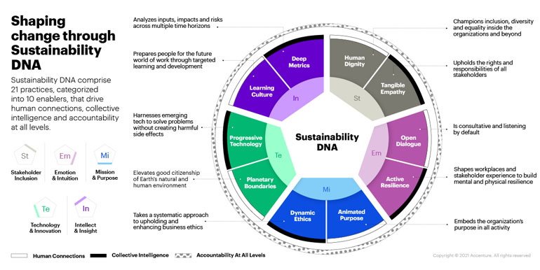 Shaping The Sustainable Organization