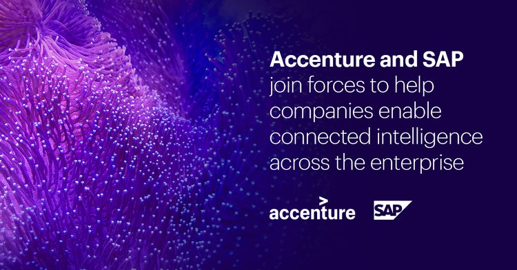 Why Enterprises Are Fast-Tracking Their Shift to Sap on the Cloud